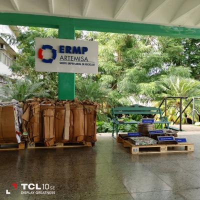 Universidad Artemisa